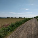 Een landweg, een boerenveld en windmolens op de achtergrond