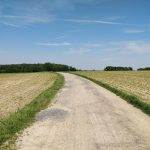 Een landweg, boerenvelden en een bos in de verte
