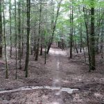 Ook weer een mooi bospaadje een kloofje in en weer omhoog eruit.