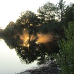 Hoe mooi kan je het krijgen bij een meer? Zon en vogels en een heel fraai samenspel.