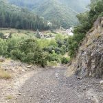 Dit ziet er wel uit als een leuk pad, maar het was wel vergeven van de hondendrollen.