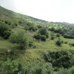 Ook hier in Spanje is er genoeg groene natuur.