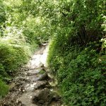 Ondanks dat dit pad veel modder bevatte, was het wel een leuk pad.