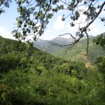 Ook gedurende deze wandeling hadden wij weer hele fraaie uitzichten.