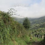 Een heel fraai pad met ook nog een stukje uitzicht op de bergen.