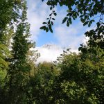 Van dit soort uitzichten wordt je toch vrolijk?