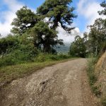 Weer een leuk pad met weer een fraai uitzicht op de bergen.