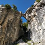 Zelfs in een kloof en op steen is de groene natuur niet tegen te houden.