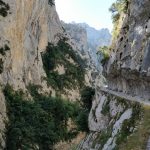 Hoe mooi kan het te bewandelen pad eigenlijk zijn?