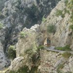 Ook de berggeiten vonden de paden leuk.