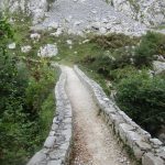 Een fraai bruggetje om de wandeling mee te starten.