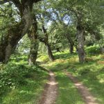 De leuke paden vervelen ook nooit.