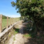 Een fraai pad met een mooi stuk weide ernaast.