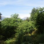 Ook tijdens deze wandeling hadden wij nog uitzicht over de bergen.