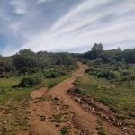 Het pad is al erg leuk, maar kijk eens naar de wolken ...