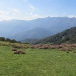 Een mooie grasweide en een heel fraai uitzicht.