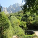 Een leuk pad met een heel leuk bruggetje.