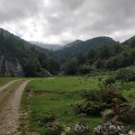 Een pad dat door een hele smalle, zeer groene, vallei liep.