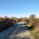 Een leuk paadje met voor de bocht een bankje met uitzicht