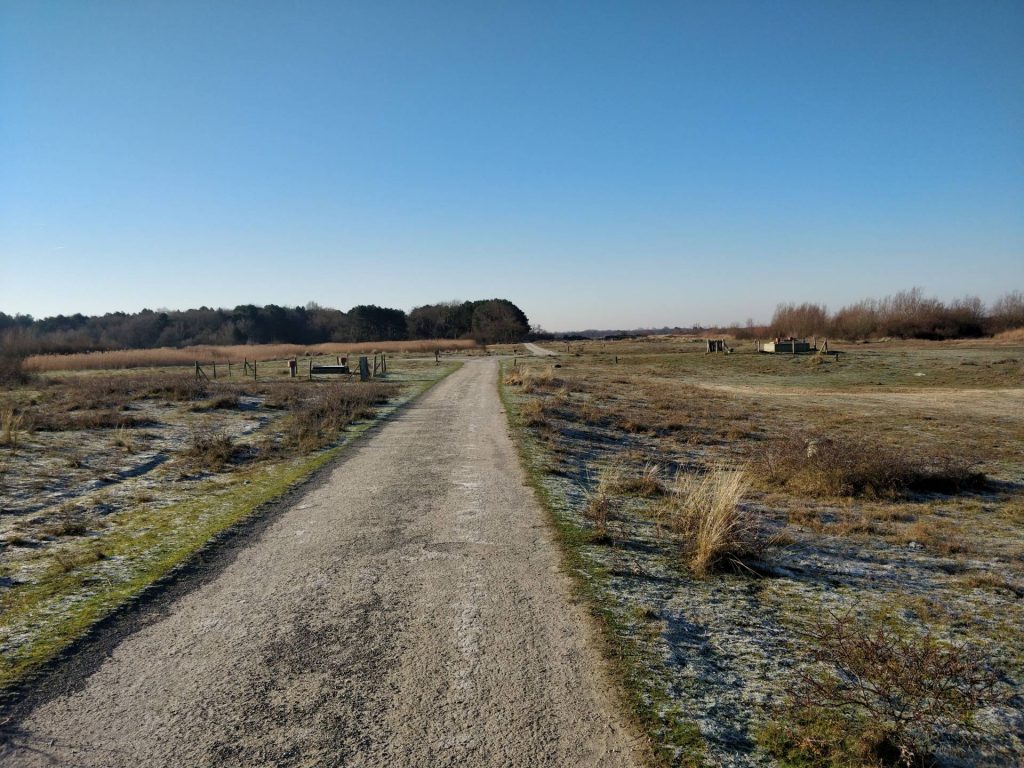 Dit is het vlakke deel van de duinen van Goeree