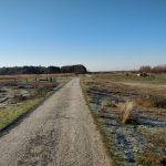 Dit is het vlakke deel van de duinen van Goeree