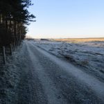 Een fraai winters tafereel op de scheiding tussen bos en duinen