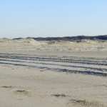 Later lijkt het of de duinen bezit genomen hebben van het strand, maar het zouden ook zomaar heuvels zand kunnen zijn
