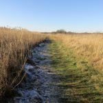 Op het einde van de wandeling liepen wij over dit fraaie pad