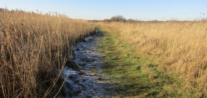 Op het einde van de wandeling liepen wij over dit fraaie pad
