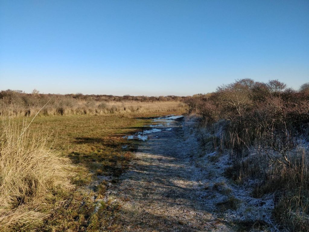 Op het einde van de wandeling liepen wij over dit fraaie pad