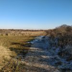 Op het einde van de wandeling liepen wij over dit fraaie pad