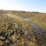 Op het einde van de wandeling liepen wij over dit fraaie pad