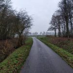 Een pad door een aangelegd bos