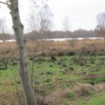 Het Paterswolde Meer