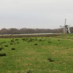 Een mooie Molen aan het Paterswolde Meer
