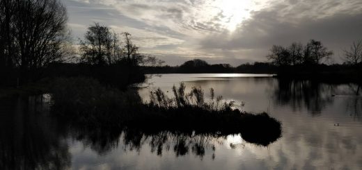Uitzicht op Wolddeelen bij Haren