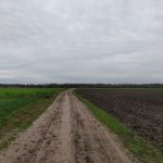 Zicht op de Leenakkers