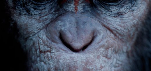 Film : Dawn of the Planet of the Apes (2014)