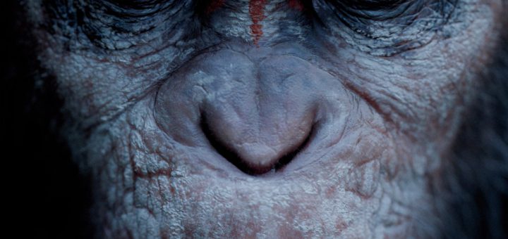 Film : Dawn of the Planet of the Apes (2014)