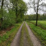 Dit leuke pad volgenden wij voor een stukje langs het bos en het veld.