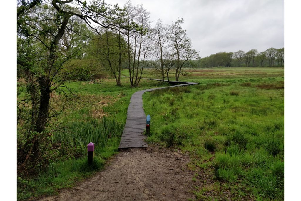 Dit leuke pad gemaakt van hout, volgenden wij een klein stukje.
