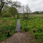 Dit leuke pad gemaakt van hout, volgenden wij een klein stukje.
