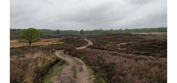 Dit leuke pad over de heide was erg mooi.