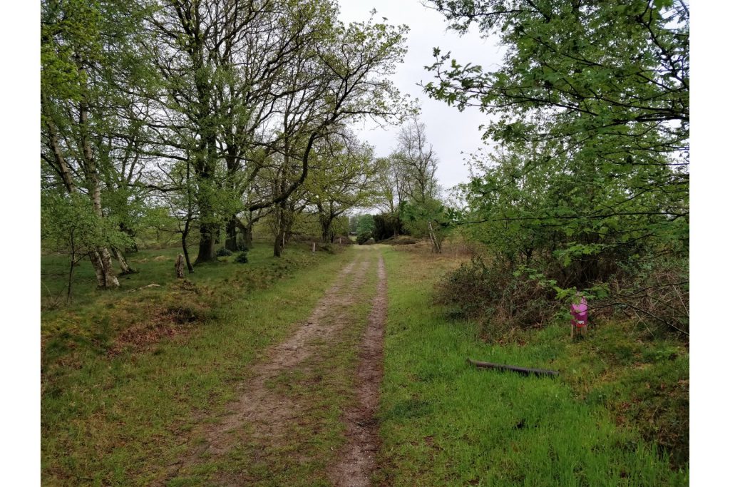 Over dit leuke pad liepen wij op bijna het einde van de wandeling.