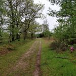 Over dit leuke pad liepen wij op bijna het einde van de wandeling.