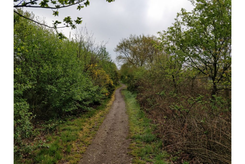 Dit leuke pad liep over een oude trambaan heen.