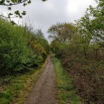 Dit leuke pad liep over een oude trambaan heen.