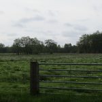 Vanaf het leuke pad van de vorige foto hadden wij dit uitzicht.