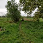 Dit leuke pad volgenden wij een tijdje door de velden heen en onderweg hadden wij een aantal van dit soort overstapjes.