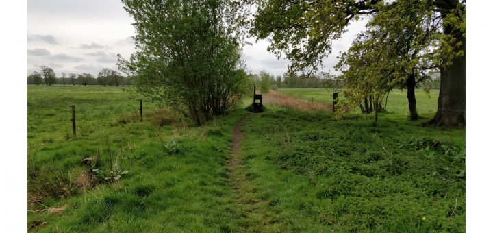 Dit leuke pad volgenden wij een tijdje door de velden heen en onderweg hadden wij een aantal van dit soort overstapjes.
